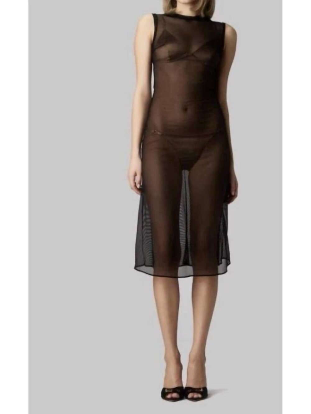 Murmur Sheer Midi Dress